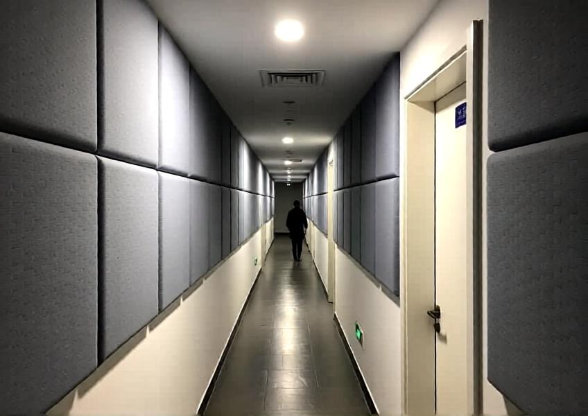 Commercial-residential corridor using functional mineral fiber wall panels for noise reduction and occupant comfort.